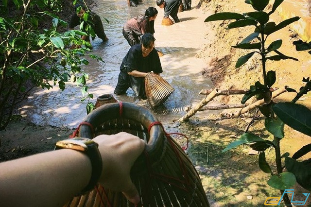 10 địa điểm du lịch Tiền Giang không đi hối hận cả đời