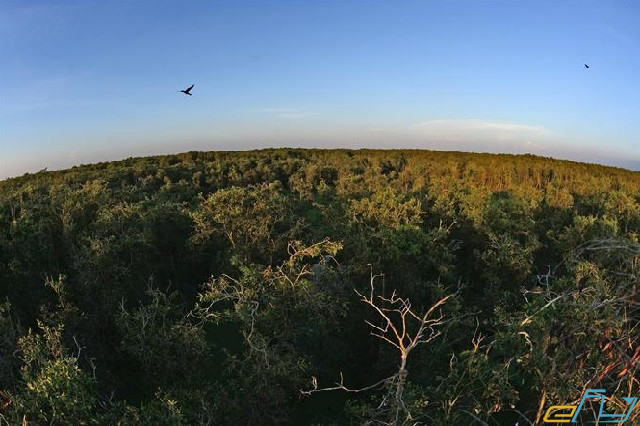kinh nghiệm du lịch Đồng Tháp: vườn quốc gia tràm chim