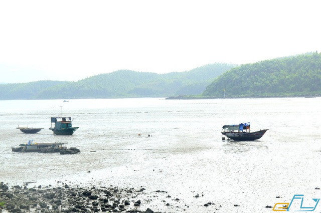 Cẩm nang du lịch Vân Đồn Quảng Ninh: đảo ngọc vừng