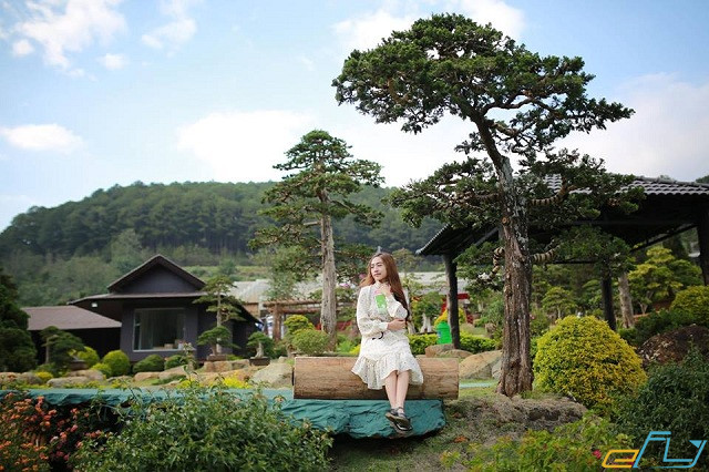 Dạo quanh khu vườn Nhật Bản siêu mới ở Đà Lạt