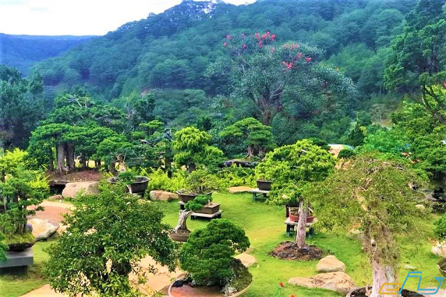 Dạo quanh khu vườn Nhật Bản siêu mới ở Đà Lạt