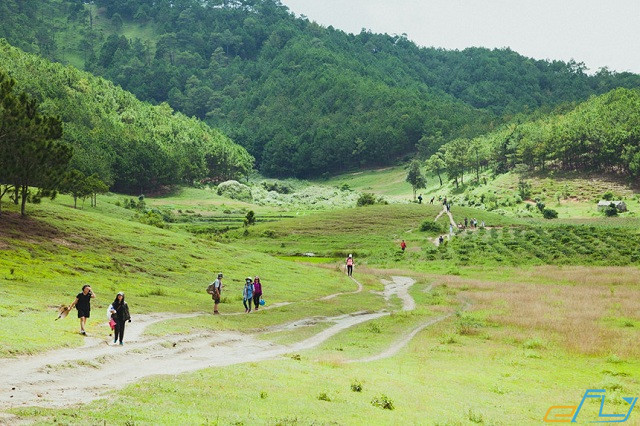 Kinh nghiệm phượt cung đường trekking Tà Năng – Phan Dũng 2019