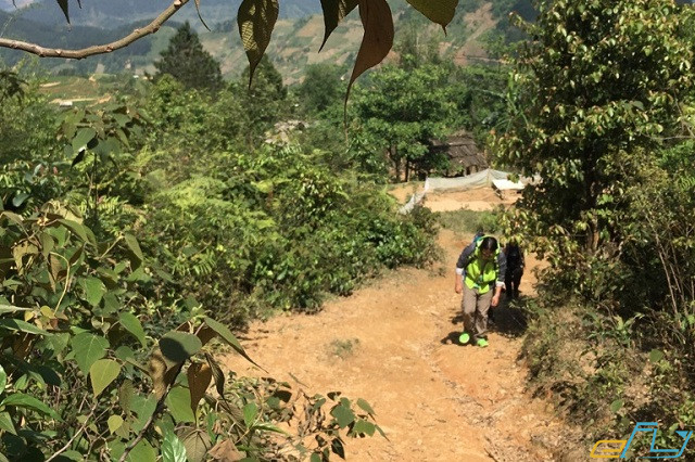 trekking Tà Xùa - Yên Bái